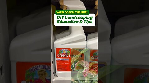 Avoiding Peach Leaf Curl | Copper Fungicide #yardcoach #gardening #landscaping