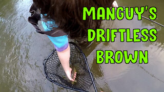 Manguy's Driftless Brown