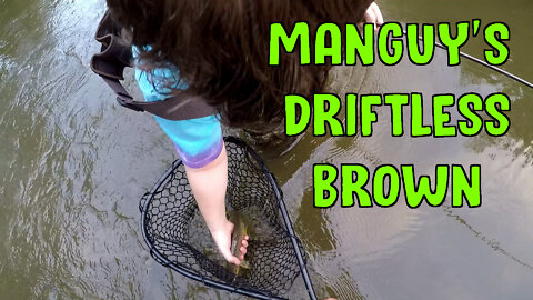 Manguy's Driftless Brown