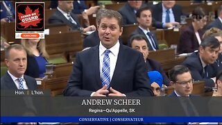 MP Scheer: Ottawa elites "clutching pearls" because Elon Musk labelled CBC government funded media