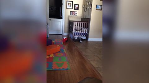 Tot Boy Crawls Under His Crib And Screams When He Gets Stuck