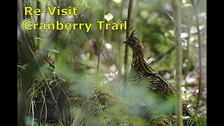 Cranberry Trail North Bay Ontario