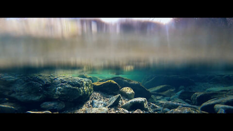 Small creek big underwater landscapes