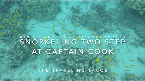 Snorkeling Two Step / Honaunau Bay - The Traveling Tacos - Captain Cook, Big Island, Hawai'i