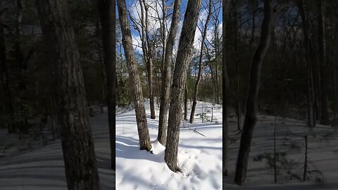 Cheboygan State Park Trailhead walk through the fresh snow.