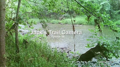 Jack's Trail Camera -- Episode 56