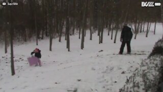 Snowboarder culpa árvore depois de ir contra ela!