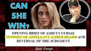 Lawyer Breakdown: Can Amber Heard Win Her Appeal?