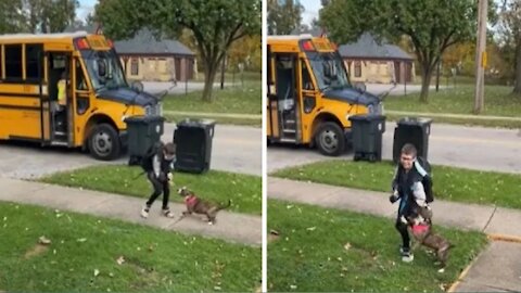 Dog enthusiastically waits for best friend to come home from school