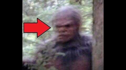 Scariest REAL BIGFOOT Evidence-Feared Hiker Films REAL SASQUATCH Screams