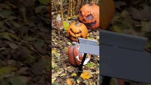 Halloween spooks #halloween #haunted #ghost #metaldetecting #shorts #decoration #chicken #poult