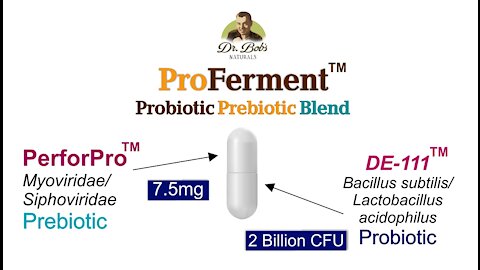 ProFerment: Probiotic with Prebiotic For Great Digestion