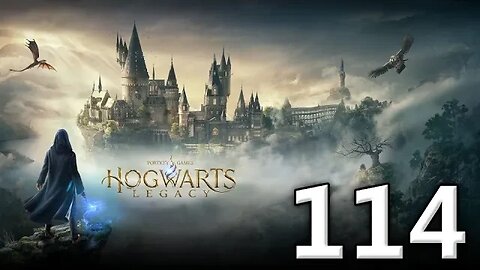 Hogwarts Legacy Let's Play #114