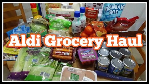 Aldi Grocery Haul I Aldi Grocery Pickup I Biweekly Grocery Haul