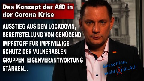 Das Konzept der AfD in der Corona Krise, Tino Chrupalla, AfD