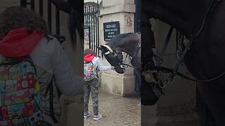 The horse likes her touch #horseguardsparade