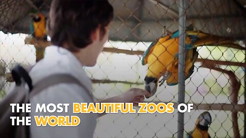 The most beautiful zoos of the world