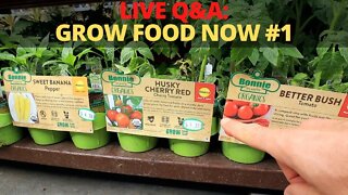 🔴LIVE Q&A Grow Food NOW #1