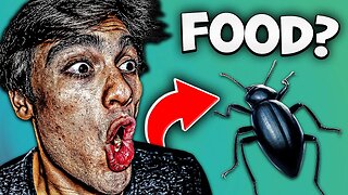 Should You Eat Ze Bugs?