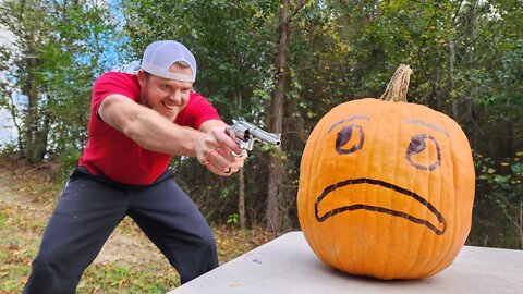 Is A Pumpkin BULLETPROOF? The Answer May Surprise You!