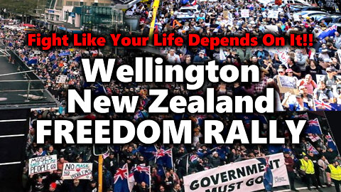 NZ RISES! Massive Freedom Rally In Wellington, New Zealand AGAINST Forced-Drugging Commie Slavery