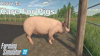 How To | Care For Pigs | Farming Simulator 22