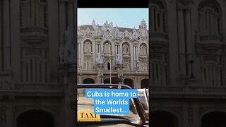 🇨🇺 Country FUN facts about Cuba Caribbean #shorts