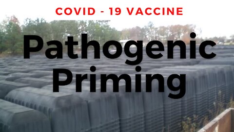 Pathogenic Priming - Wait for the end