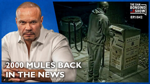 The Scandalous 2020 Election And 2000 Mules Are Back In The News - The Dan Bongino