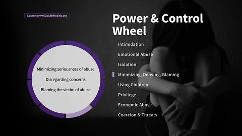 Minimizing Victim Blaming on the Wheel of Power and Control | Taking Action Against Domestic Violence