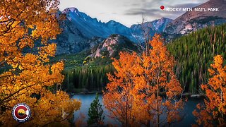 Fall foliage and a bear sighting: Our Colorado through your photos