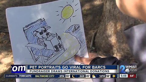 Pet portraits go viral for BARCS