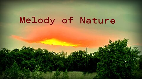 Melody of Nature