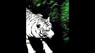 new day tiger by karthik #tiger #art #digitalart #nftmusic