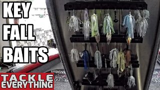 Top 5 Bass Fishing Lures For Fall Fishing