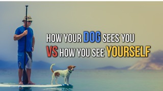 How Your Dog Sees You VS How You See Yourself