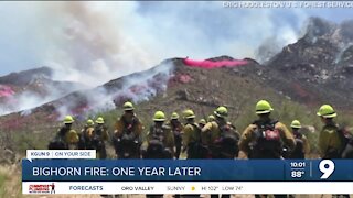 Bighorn Fire through the eyes of a fire Captain