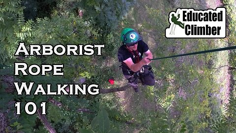 Rope Walking 101 | Tree Ascent for Arborists | Climbing Basics