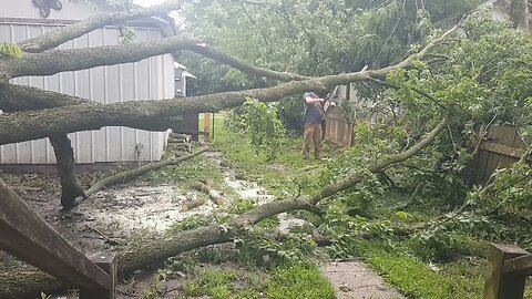 Tree Clean Up After Storm! DIY