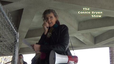 The Connie Bryan Show: Connie BULLHORNS the Sacramento County Board of Supervisors
