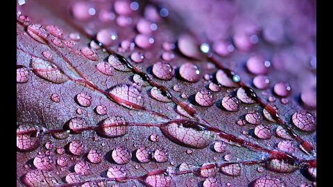 Relaxing Rain Meditation