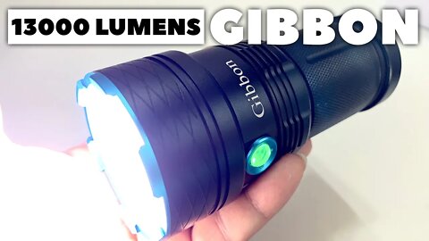 Is the $28 Gibbons Super Bright LED Flashlight Worth It?