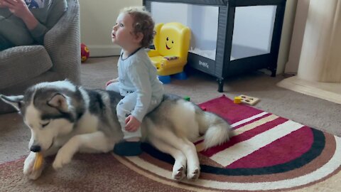 Baby Enjoys Riding His Dog