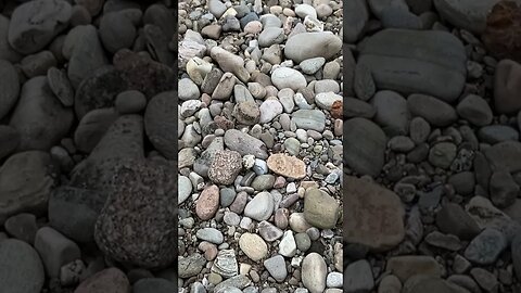 Stones on the shore of the River Tay #scotland