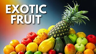 Exotic Fruit – Spiring Electronic Music [FreeRoyaltyBGM]