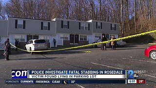 Man stabbed to death Thursday morning in Rosedale