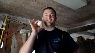 No Broken Eggs | How To Keep Your Chickens From Pecking Their Eggs
