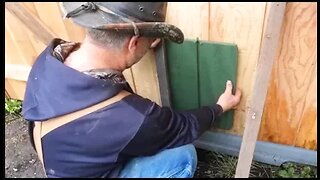 Building the Chicken Door