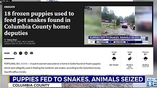 18 frozen puppies used to feed pet snakes found in Columbia County home: deputies