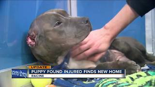 Puppy found with mutilated ears in Racine has new home